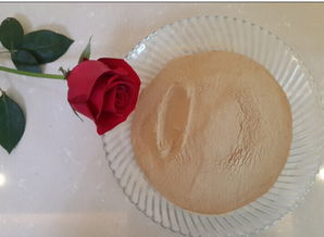 厂家直供优质啤酒酵母粉 水产养殖与动物饲料的天然营养选择