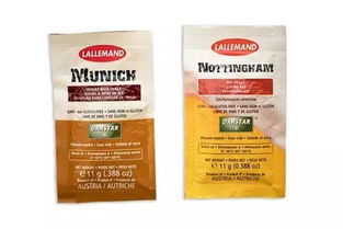 夏日必备的微醺艺术 走进精酿吧，探索啤酒酵母的奇妙世界