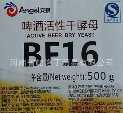 啤酒酵母的另一种生命 供应安琪BF16拉格酵母的前世今生
